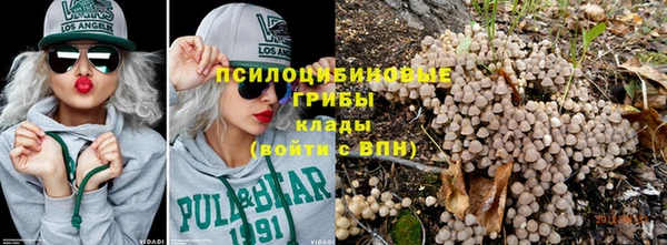 молекула духа Баксан