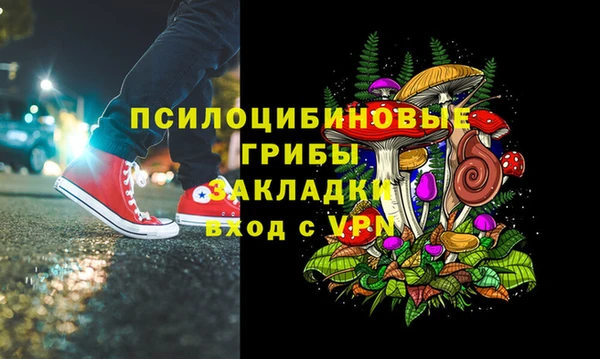 spice Балахна