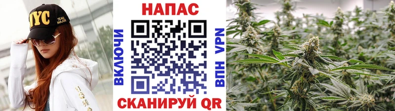 Канабис конопля Балей